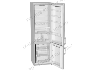 Холодильник Gorenje RK60395HFE (264037, HZS4066) - Фото